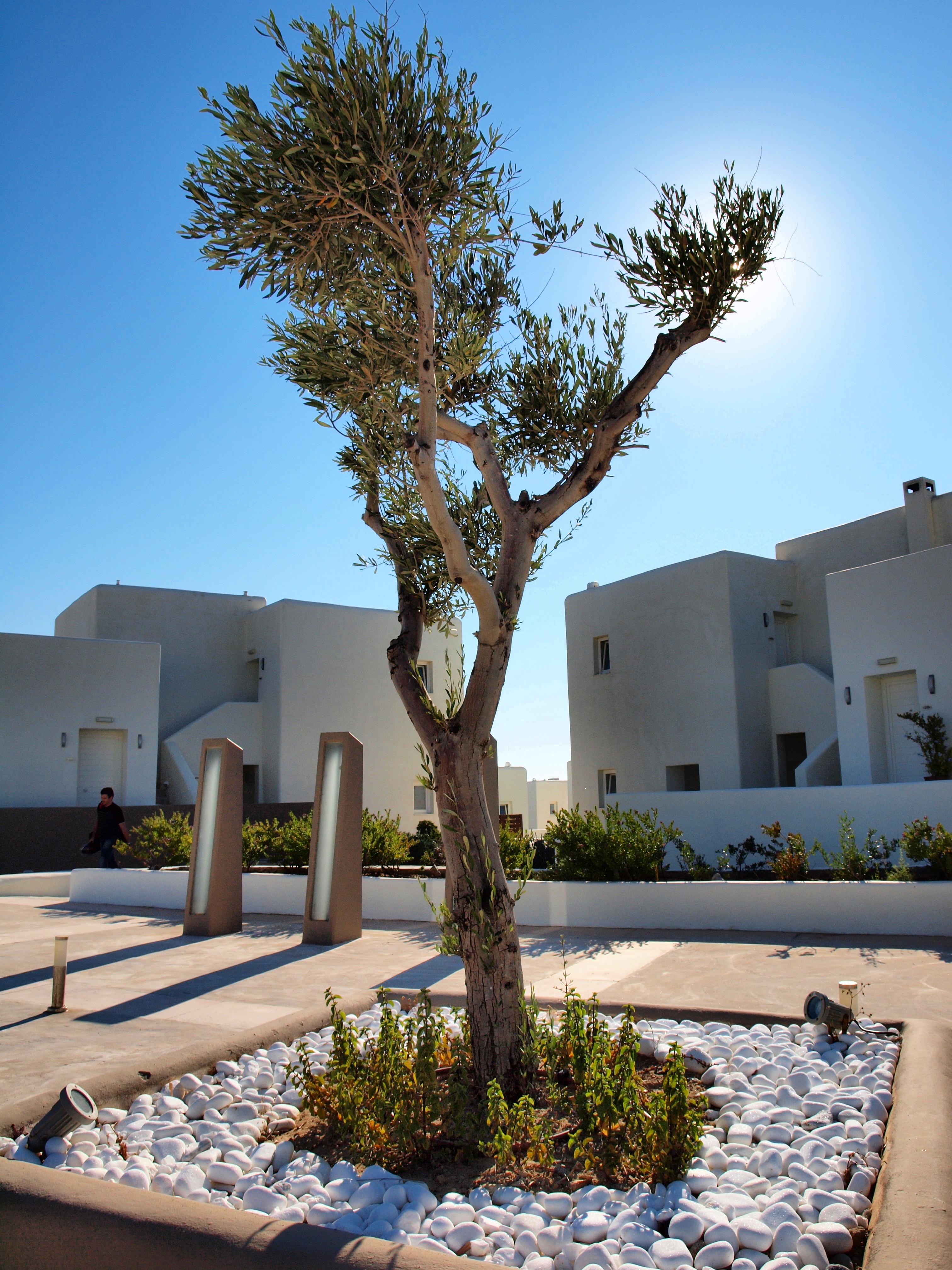 Archipelagos Resort Parikia  Exterior photo