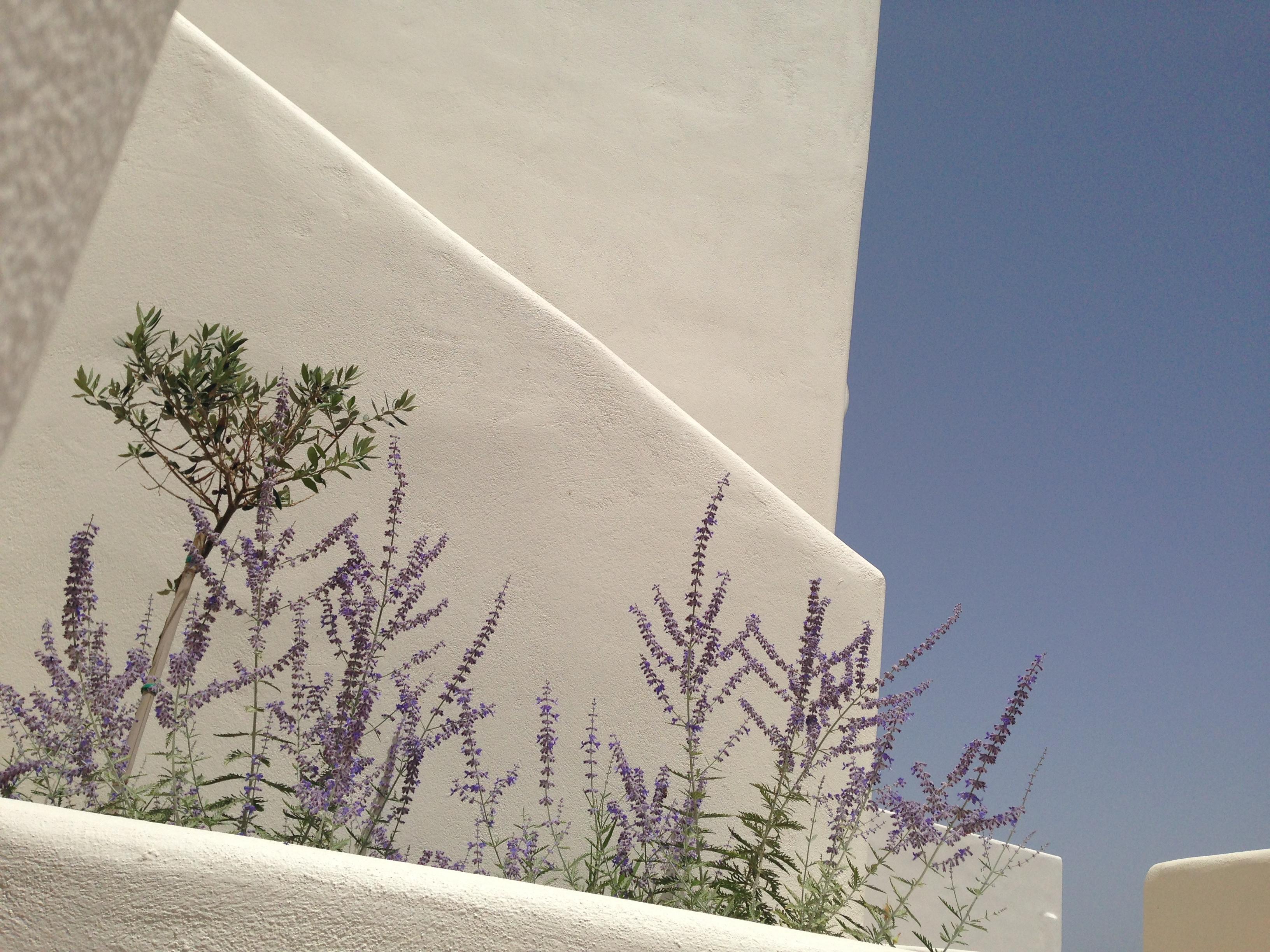 Archipelagos Resort Parikia  Exterior photo